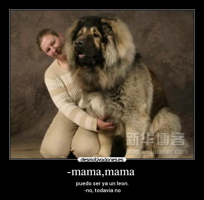 -mama,mama - puedo ser ya un leon.
-no, todavia no