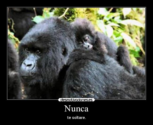 Nunca - 