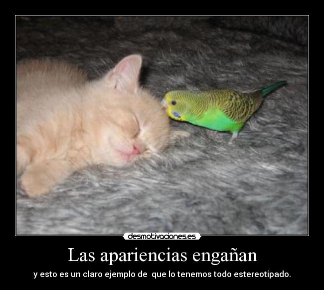 Las apariencias engañan -