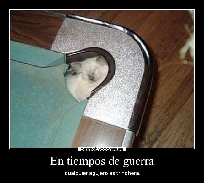 carteles guerra refran que puede adjudicar acualquier cosa desmotivaciones