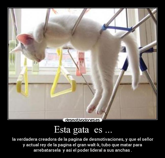 Esta gata es ... - la verdadera creadora de la pagina de desmotivaciones, y que el señor
y actual rey de la pagina el gran walt-k, tubo que matar para
arrebatarsela y asi el poder lideral a sus anchas .