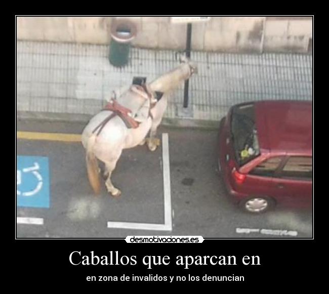 Caballos que aparcan en -