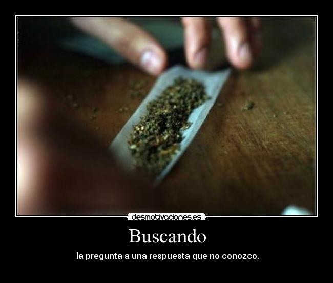 Buscando -