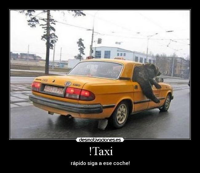 !Taxi - rápido siga a ese coche!