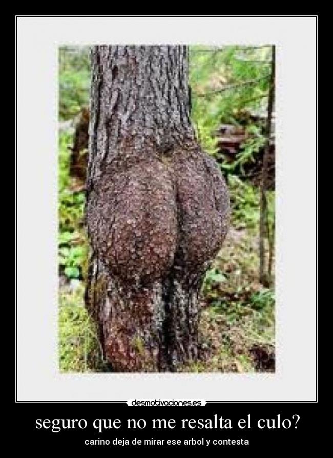 carteles  desmotivaciones