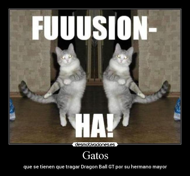 carteles gatos ala desmotivaciones
