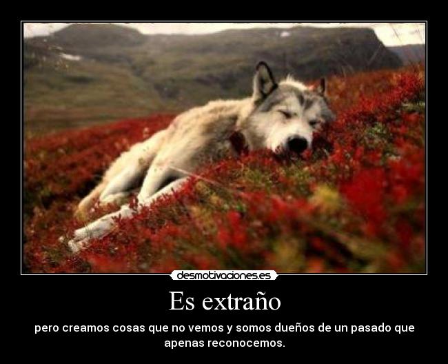 Es extraño - pero creamos cosas que no vemos y somos dueños de un pasado que
apenas reconocemos.