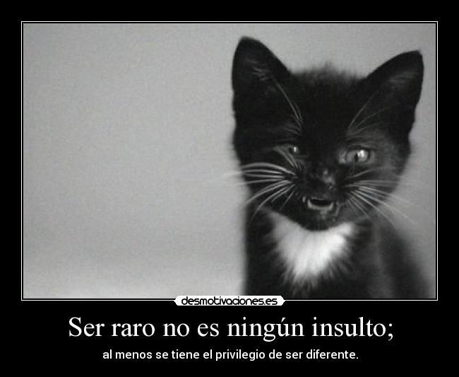 carteles queteimporta desmotivaciones