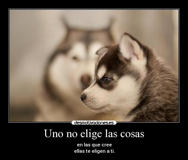Uno no elige las cosas -