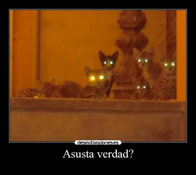 Asusta verdad? -