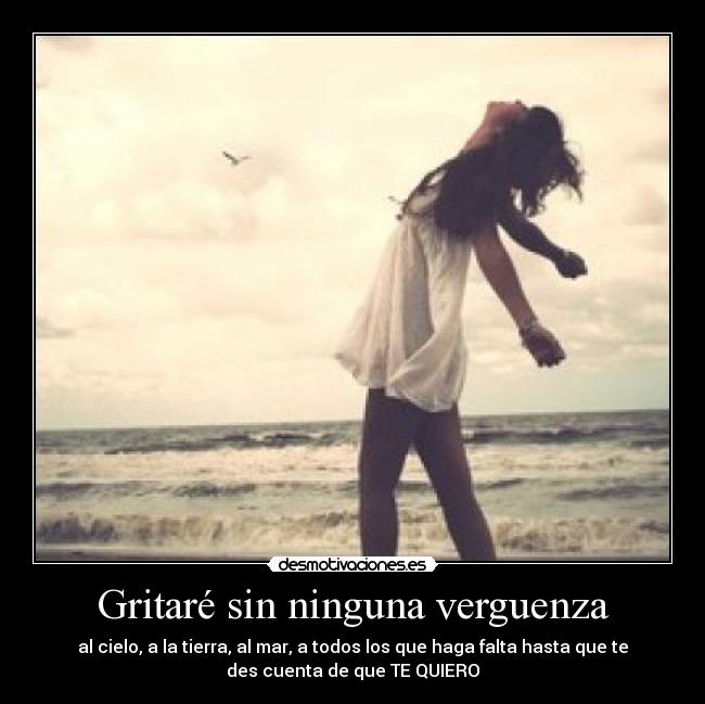 Gritaré sin ninguna verguenza - 