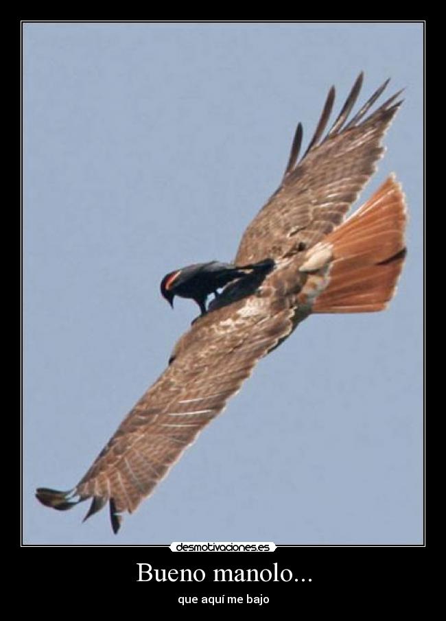 Bueno manolo... -