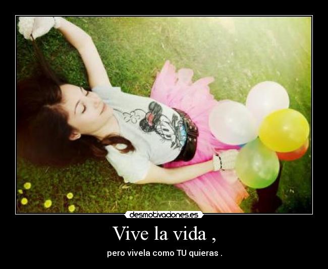 carteles vida i-e-m desmotivaciones