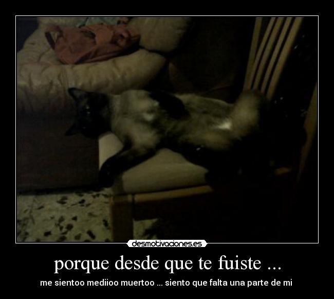 porque desde que te fuiste ... - 