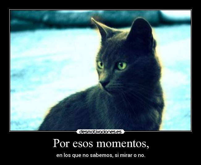 Por esos momentos, - en los que no sabemos, si mirar o no.