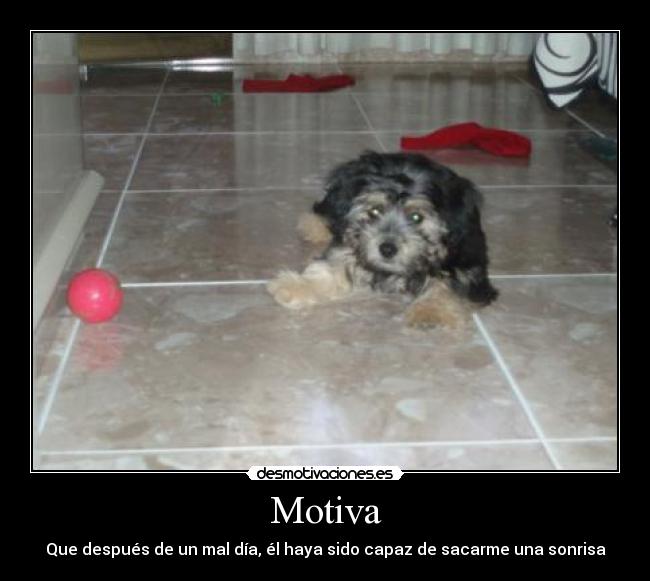 Motiva -