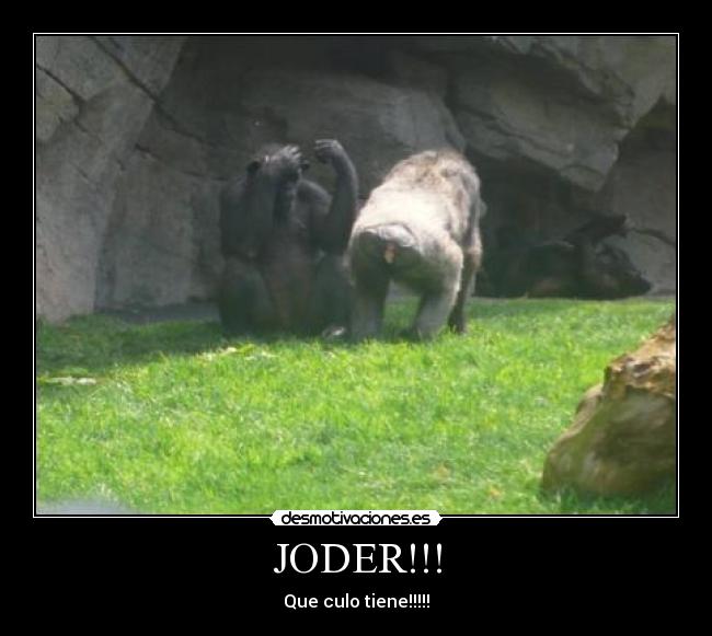 JODER!!! - 