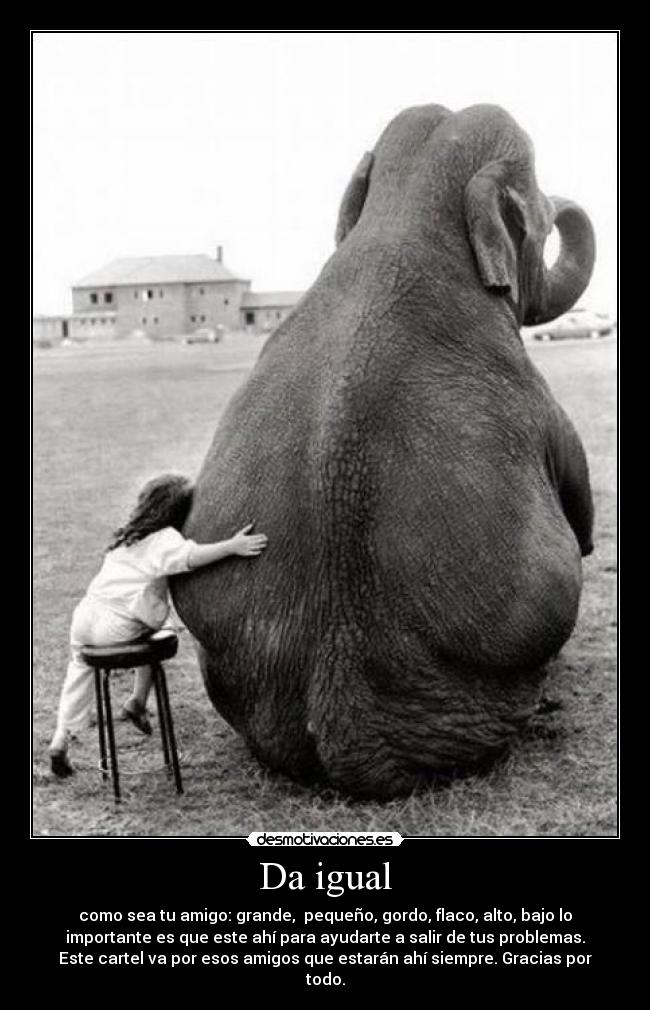 Da igual - como sea tu amigo: grande, pequeño, gordo, flaco, alto, bajo lo
importante es que este ahí para ayudarte a salir de tus problemas.
Este cartel va por esos amigos que estarán ahí siempre. Gracias por
todo.
