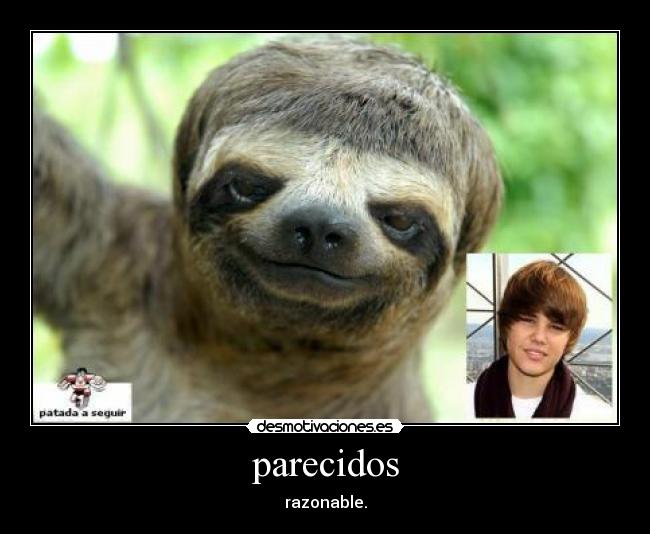 parecidos - razonable.