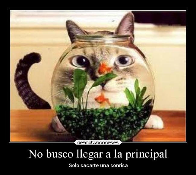 No busco llegar a la principal -