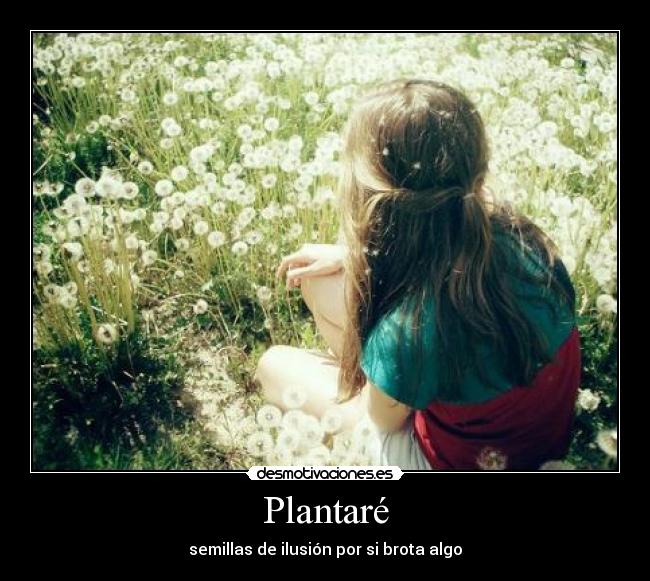 Plantaré -