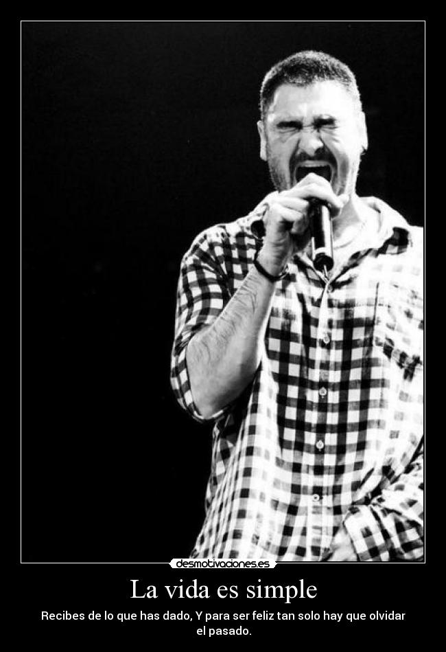 carteles vida vida simple desmotivaciones