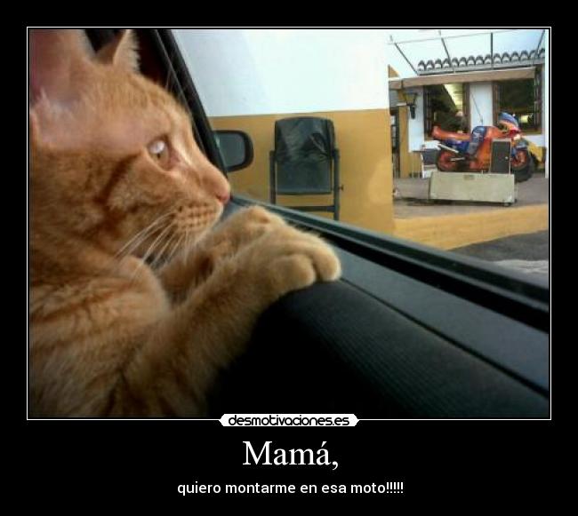 Mamá, - quiero montarme en esa moto!!!!!