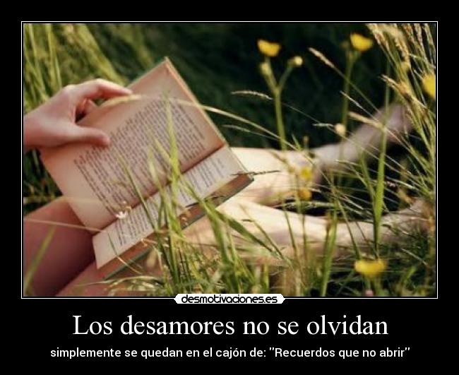 Los desamores no se olvidan - simplemente se quedan en el cajón de: Recuerdos que no abrir