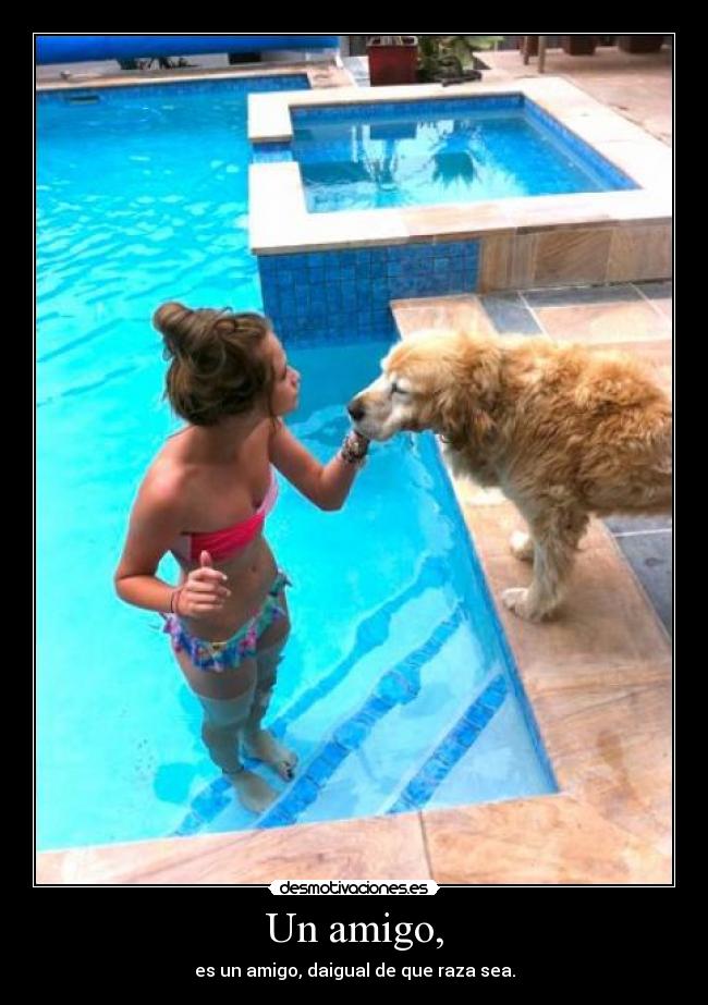 Un amigo, - es un amigo, daigual de que raza sea.