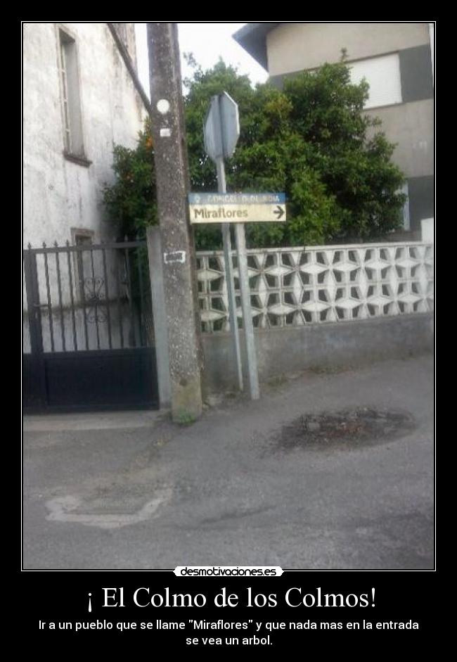 ¡ El Colmo de los Colmos! - Ir a un pueblo que se llame Miraflores y que nada mas en la entrada
se vea un arbol.