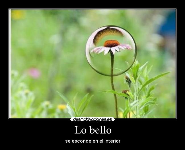 carteles belleza desmotivaciones