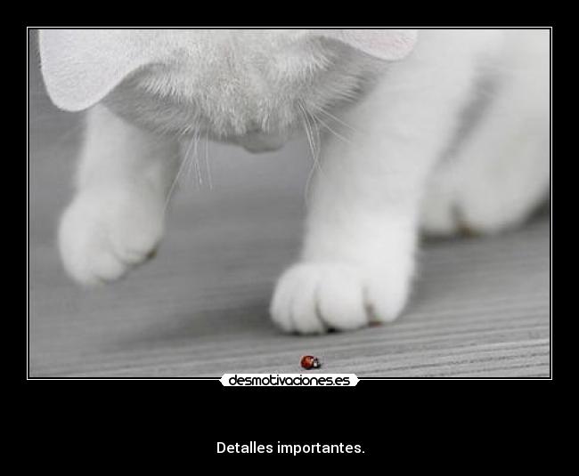   - Detalles importantes.