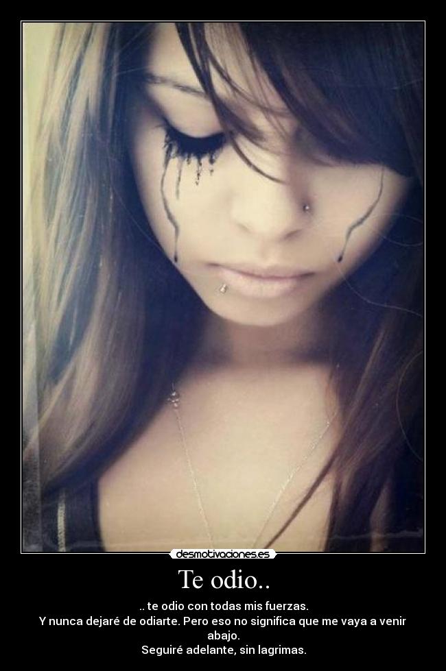 carteles odio sigue adelante desmotivaciones