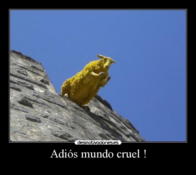 Adiós mundo cruel ! - 