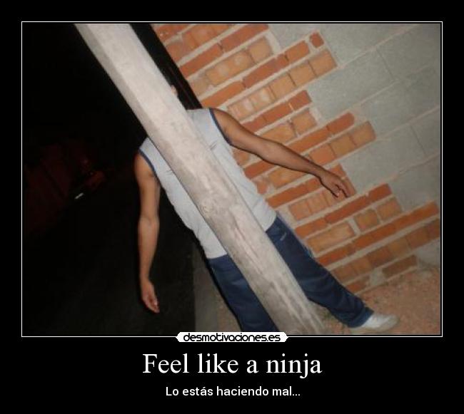 carteles ninja desmotivaciones