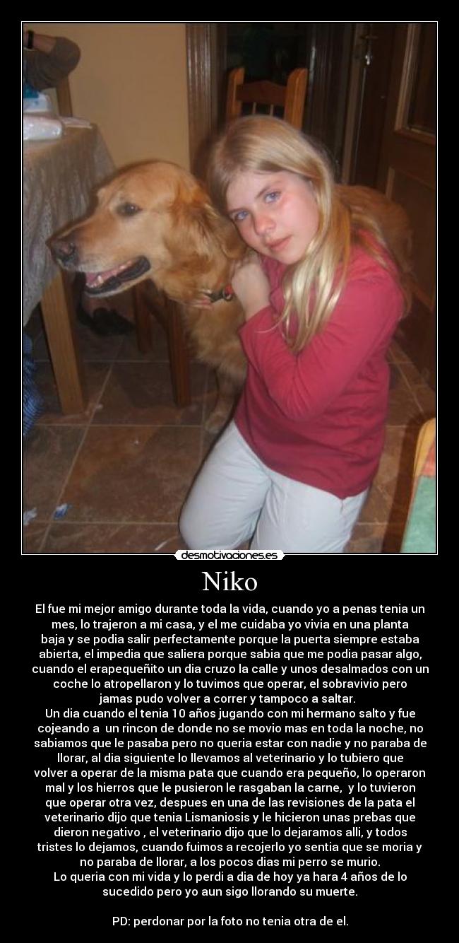 Niko - El fue mi mejor amigo durante toda la vida, cuando yo a penas tenia un
mes, lo trajeron a mi casa, y el me cuidaba yo vivia en una planta
baja y se podia salir perfectamente porque la puerta siempre estaba
abierta, el impedia que saliera porque sabia que me podia pasar algo,
cuando el erapequeñito un dia cruzo la calle y unos desalmados con un
coche lo atropellaron y lo tuvimos que operar, el sobravivio pero
jamas pudo volver a correr y tampoco a saltar.
Un dia cuando el tenia 10 años jugando con mi hermano salto y fue
cojeando a un rincon de donde no se movio mas en toda la noche, no
sabiamos que le pasaba pero no queria estar con nadie y no paraba de
llorar, al dia siguiente lo llevamos al veterinario y lo tubiero que
volver a operar de la misma pata que cuando era pequeño, lo operaron
mal y los hierros que le pusieron le rasgaban la carne, y lo tuvieron
que operar otra vez, despues en una de las revisiones de la pata el
veterinario dijo que tenia Lismaniosis y le hicieron unas prebas que
dieron negativo , el veterinario dijo que lo dejaramos alli, y todos
tristes lo dejamos, cuando fuimos a recojerlo yo sentia que se moria y
no paraba de llorar, a los pocos dias mi perro se murio.
Lo queria con mi vida y lo perdi a dia de hoy ya hara 4 años de lo
sucedido pero yo aun sigo llorando su muerte.
PD: perdonar por la foto no tenia otra de el.