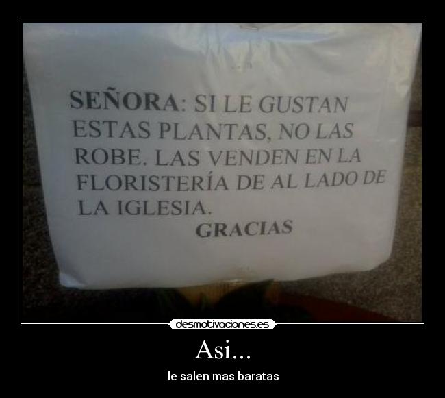 carteles plantas floristeria robar desmotivaciones