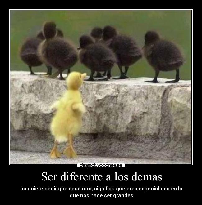 Ser diferente a los demas -