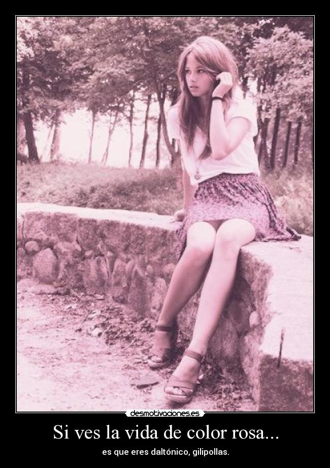 Si ves la vida de color rosa... - es que eres daltónico, gilipollas.
