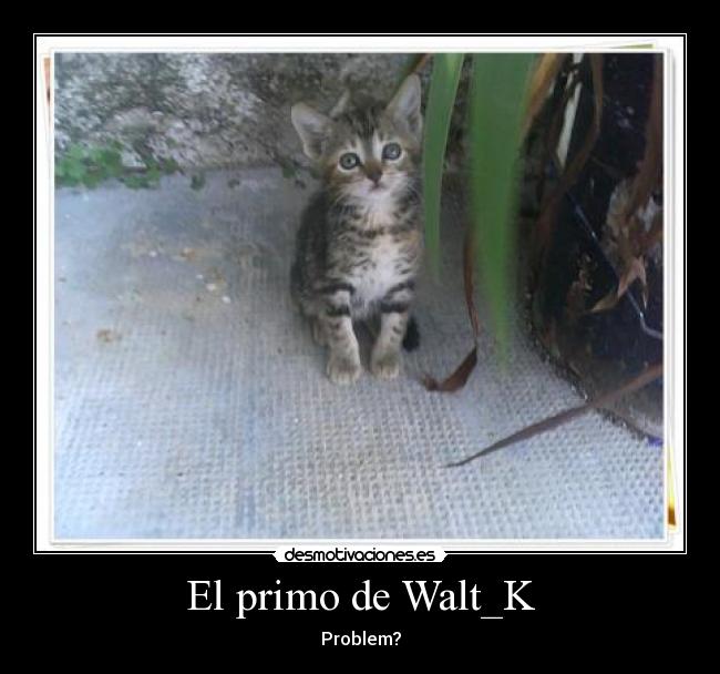 El primo de Walt_K - 