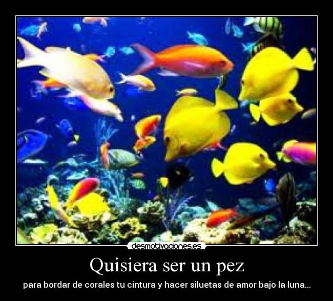 Quisiera ser un pez - para bordar de corales tu cintura y hacer siluetas de amor bajo la luna...