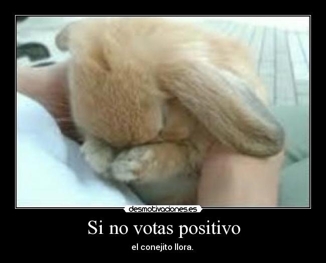 Si no votas positivo - el conejito llora.