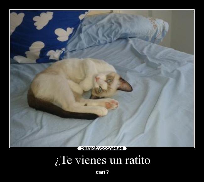 ¿Te vienes un ratito - cari ?