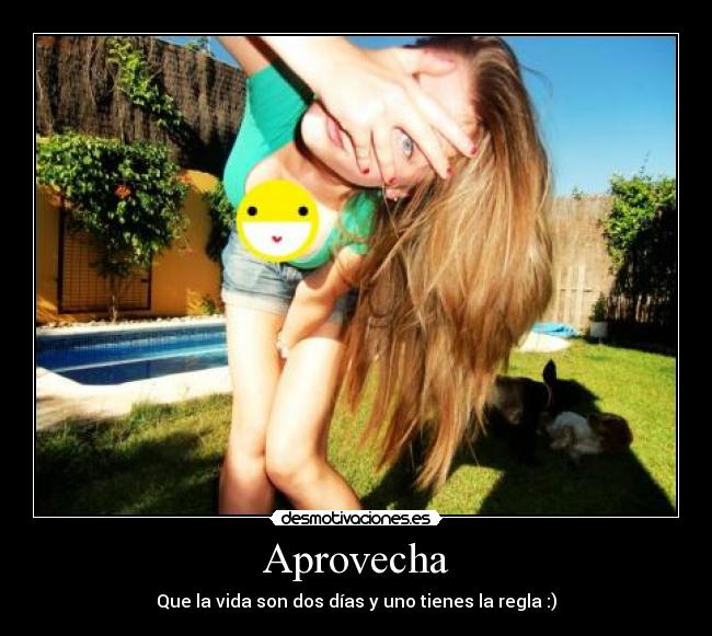 Aprovecha - Que la vida son dos días y uno tienes la regla :)