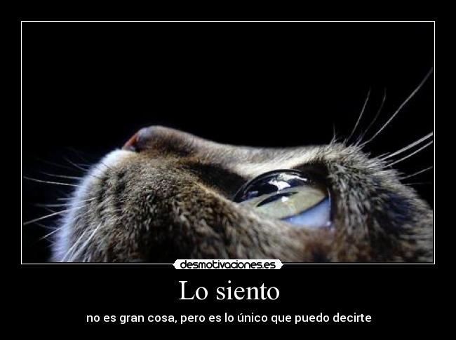 Lo siento - no es gran cosa, pero es lo único que puedo decirte