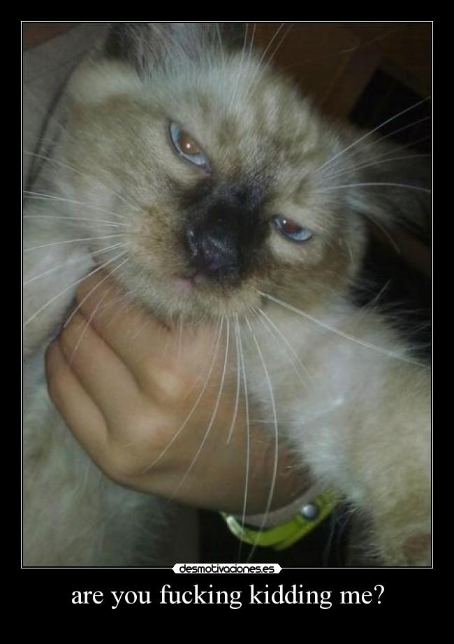 are you fucking kidding me? -