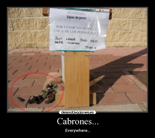 Cabrones... - 