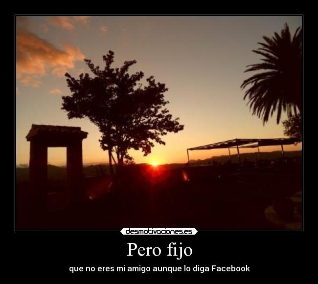 Pero fijo - que no eres mi amigo aunque lo diga Facebook