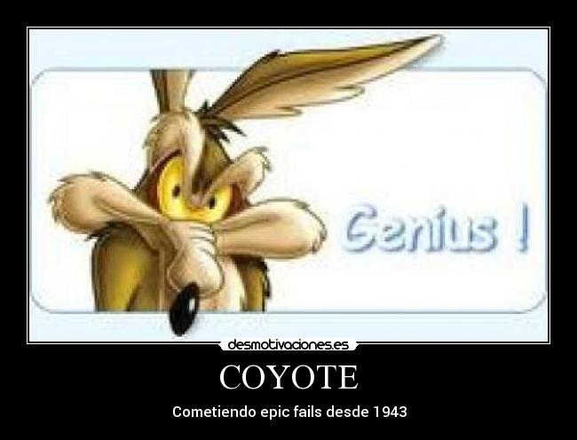 COYOTE - 