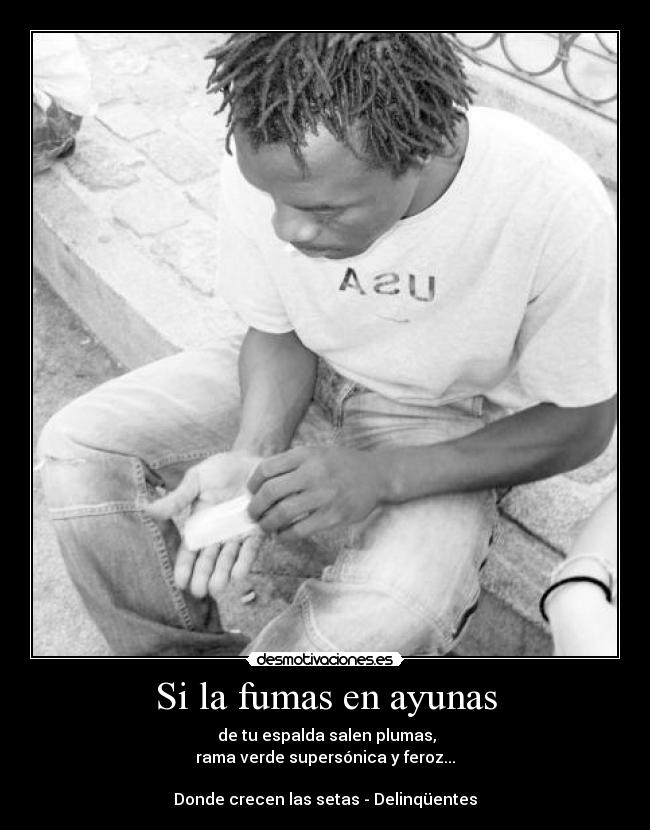 Si la fumas en ayunas - de tu espalda salen plumas,
rama verde supersónica y feroz...
Donde crecen las setas - Delinqüentes